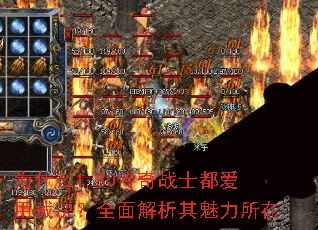 Ϊʲô1.80����սʿ�����òþ���ȫ���������������