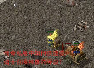 传奇私服中如何快速提升道士召唤神兽的等级? 传奇私服中如何快速提升道士召唤神兽的等级?