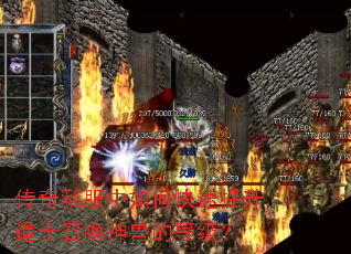 传奇私服中如何快速提升道士召唤神兽的等级? 传奇私服中如何快速提升道士召唤神兽的等级?
