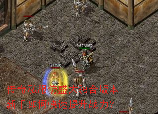传奇私服仿盛大融合版本新手如何快速提升战力? 传奇私服仿盛大融合版本新手如何快速提升战力?