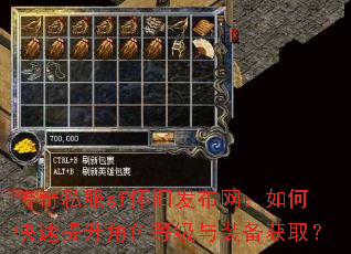 传奇私服sf怀旧发布网:如何快速提升角色等级与装备获取? 传奇私服sf怀旧发布网:如何快速提升角色等级与装备获取?