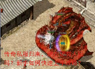 ����˽�����������ڻ���������������ο������ֹ��ԣ�