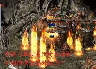 无限刀单职业传奇私服新手如何快速提升战力? 无限刀单职业传奇私服新手如何快速提升战力?