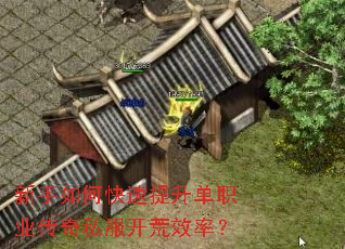 新手如何快速提升单职业传奇私服开荒效率? 新手如何快速提升单职业传奇私服开荒效率?