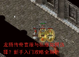 龙腾传奇官服与私服如何选择?新手入门攻略全解析 龙腾传奇官服与私服如何选择?新手入门攻略全解析