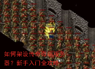 如何架设传奇微端服务器?新手入门全攻略 如何架设传奇微端服务器?新手入门全攻略