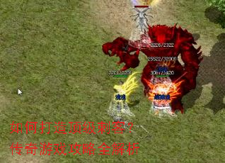 ��δ��춥���̿ͣ�������Ϸ����ȫ����