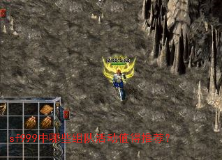 sf999����Щ��ӻֵ���Ƽ���