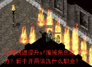 ��ο�������sfħ���ɫս�������ֿ��ָ�ѡʲôְҵ��