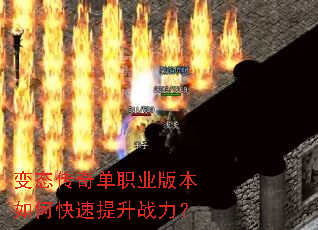 ��̬���浥ְҵ�汾��ο�������ս����