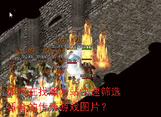 如何在找服网站快速筛选适合的传奇游戏图片? 如何在找服网站快速筛选适合的传奇游戏图片?