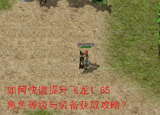 如何快速提升飞龙1.85角色等级与装备获取攻略? 如何快速提升飞龙1.85角色等级与装备获取攻略?