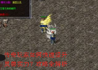 传奇玩家如何快速提升灵兽实力?攻略全解析 传奇玩家如何快速提升灵兽实力?攻略全解析
