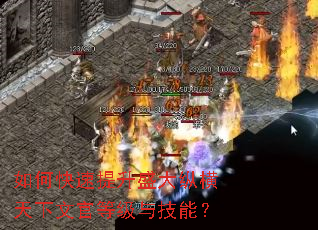 如何快速提升盛大纵横天下文官等级与技能? 如何快速提升盛大纵横天下文官等级与技能?