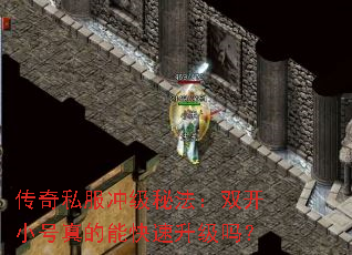传奇私服冲级秘法:双开小号真的能快速升级吗? 传奇私服冲级秘法:双开小号真的能快速升级吗?
