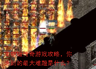 宠物版传奇游戏攻略,你遇到的最大难题是什么? 宠物版传奇游戏攻略,你遇到的最大难题是什么?