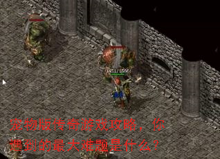 宠物版传奇游戏攻略,你遇到的最大难题是什么? 宠物版传奇游戏攻略,你遇到的最大难题是什么?