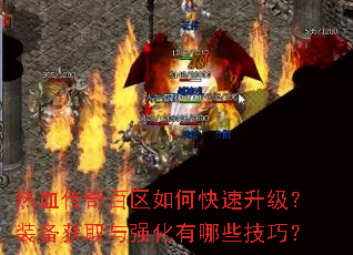 ��Ѫ���������ο���������װ����ȡ��ǿ������Щ���ɣ�