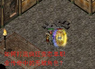 如何打造疯狂变态单职业传奇中的无敌角色? 如何打造疯狂变态单职业传奇中的无敌角色?