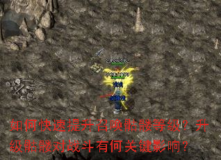 如何快速提升召唤骷髅等级?升级骷髅对战斗有何关键影响? 如何快速提升召唤骷髅等级?升级骷髅对战斗有何关键影响?