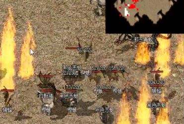 轻变传奇玩家永远都不嫌钱多的原因