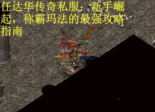 任达华传奇私服：新手崛起，称霸玛法的最强攻略指南