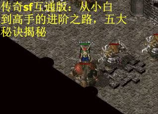 传奇sf互通版：从小白到高手的进阶之路，五大秘诀揭秘
