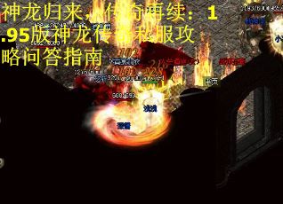 神龙归来，传奇再续：1.95版神龙传奇私服攻略问答指南