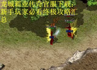 龙城霸业传奇官服下载：新手玩家必看终极攻略汇总