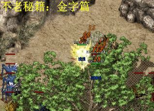 不老秘籍：金字篇