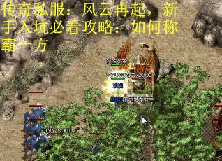 传奇私服：风云再起，新手入坑必看攻略：如何称霸一方