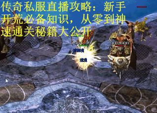 传奇私服直播攻略：新手开荒必备知识，从零到神速通关秘籍大公开