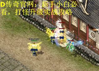 D传奇官网：新手小白必看，打怪升级实战攻略