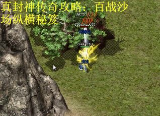 真封神传奇攻略：百战沙场纵横秘笈