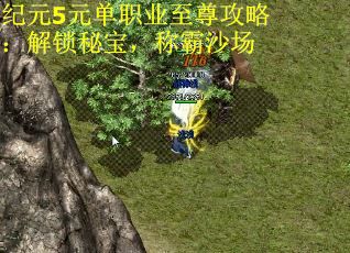 纪元5元单职业至尊攻略：解锁秘宝，称霸沙场
