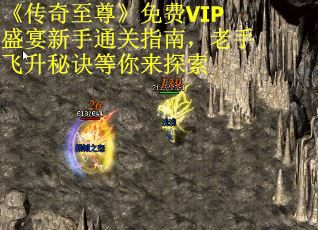 《传奇至尊》免费VIP盛宴新手通关指南，老手飞升秘诀等你来探索