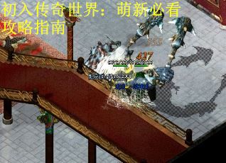 初入传奇世界：萌新必看攻略指南