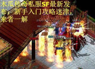木瓜传奇私服SF最新发布：新手入门攻略迷津，来者一解