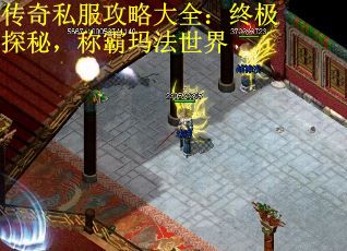 传奇私服攻略大全：终极探秘，称霸玛法世界