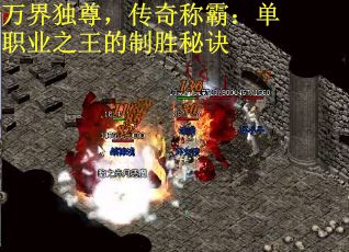 万界独尊，传奇称霸：单职业之王的制胜秘诀