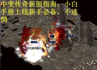 中变传奇新服指南：小白手册上线新手必备，不迷惘