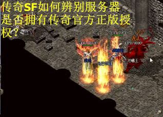 传奇SF如何辨别服务器是否拥有传奇官方正版授权？
