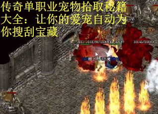 传奇单职业宠物拾取秘籍大全：让你的爱宠自动为你搜刮宝藏