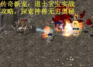 传奇新宠：道士宝宝实战攻略，探索神兽无穷奥秘