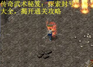 传奇武术秘笈：探索封号大全，揭开通关攻略