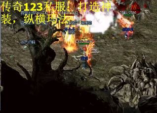 传奇123私服：打造神装，纵横玛法