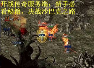 开战传奇服务端：新手必看秘籍，决战沙巴克之路