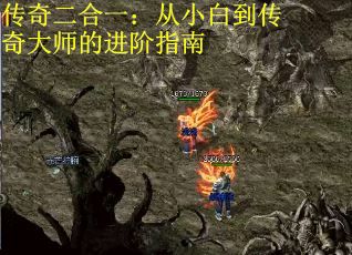 传奇二合一：从小白到传奇大师的进阶指南