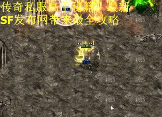 传奇私服高手秘籍：最新SF发布网带来最全攻略
