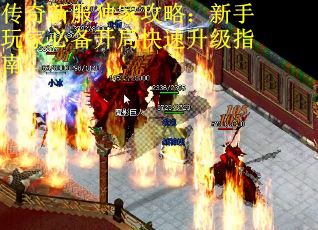 传奇新服独家攻略：新手玩家必备开局快速升级指南